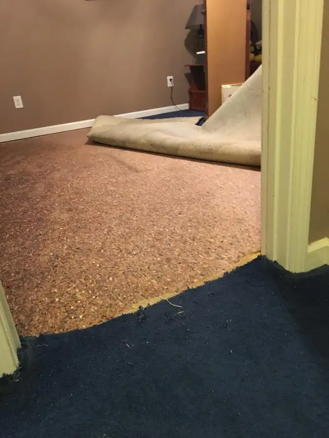 Carpet pad removal revealing water damage during Drying & Dehumidification in Trumann