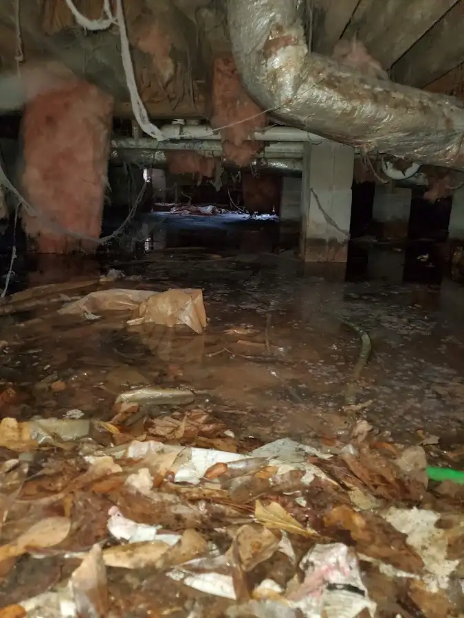 Crawl space flood assessment for Commercial Water Damage Restoration in Trumann