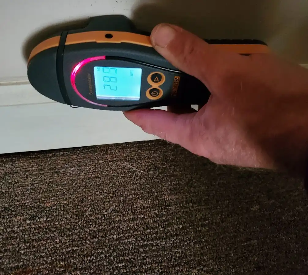 Moisture detection at baseboard during Mold Inspection & Testing in Trumann